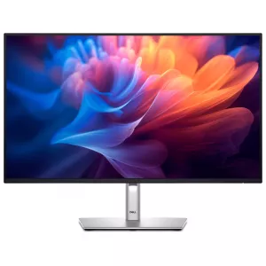 27 inch P2725HE 100Hz USB-C Professional IPS monitor