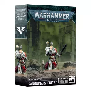 Blood Angels: Sangunary Priest