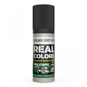 Camouflage Grey FS 36622 17 ml.