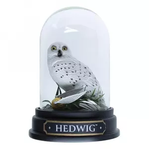 Hedwig Curiosity Cloche