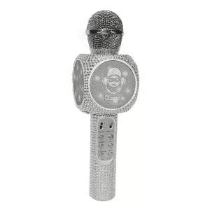 iDance Microphone PM31L(SL)