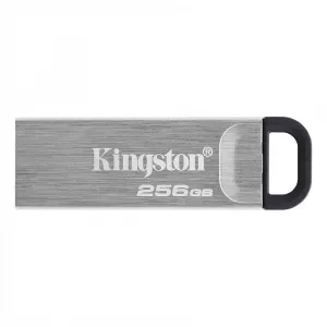 Kingston DataTraveler DTKN/256GB