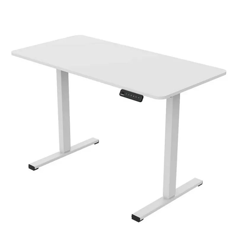 Loctek Lifting Table 120x60cm
