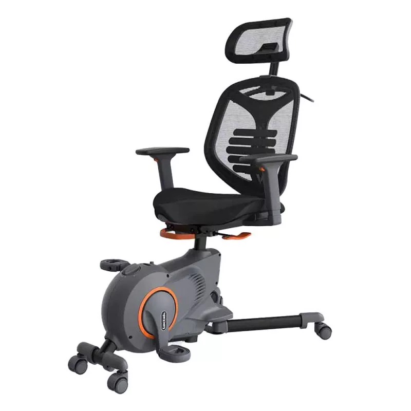 Loctek Station Type Fitness Bicycle