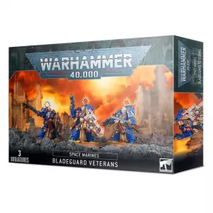 Space Marines Bladeguard Veterans