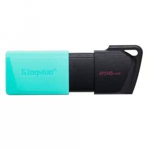 USB Flash Drive DTXM 256GB