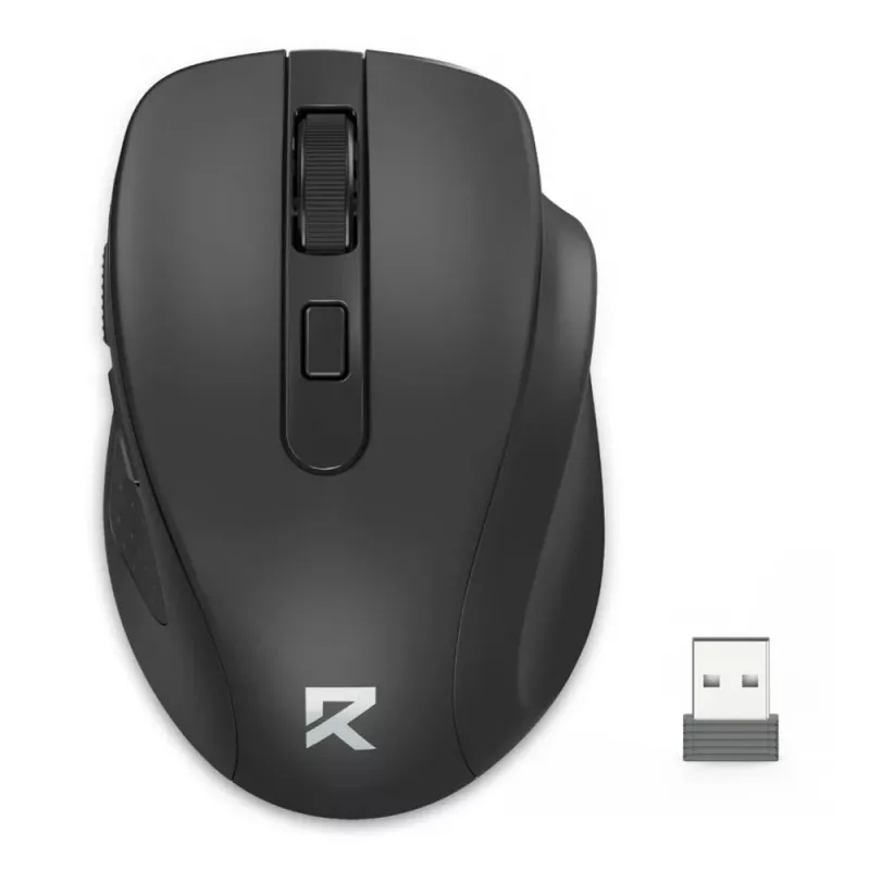 WorkPoint Curve Mouse (BM-4092)