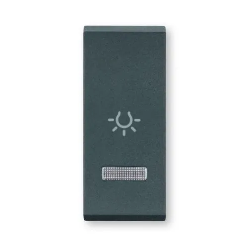 Aling-Conel taster sklopka za svetlo sa indikacijom 10A 250V~ 1M antracit
