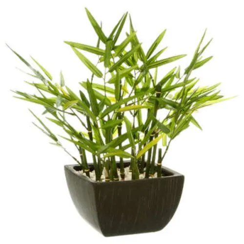 Atmosphera bambus u saksiji 35x33x33 cm, crni