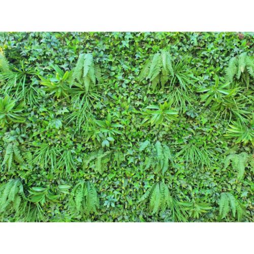 Dekorativni panel fern Gardenia 0,5x0,5 4 kom