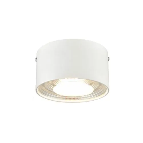 LEON plafonska lampa metal/bela D110x70 12W LED 3000K Esto