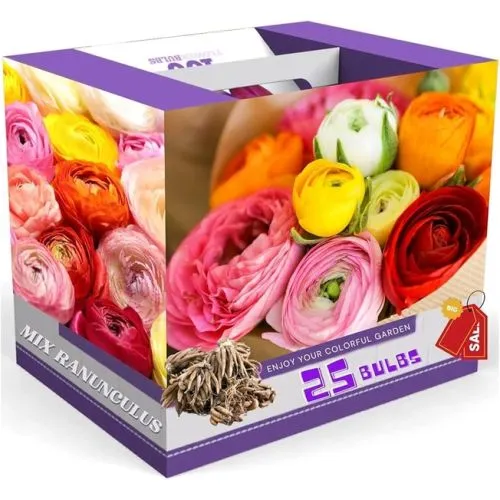 Lukovica Ljutić - Ranunculus Bronzy Mix 15/1