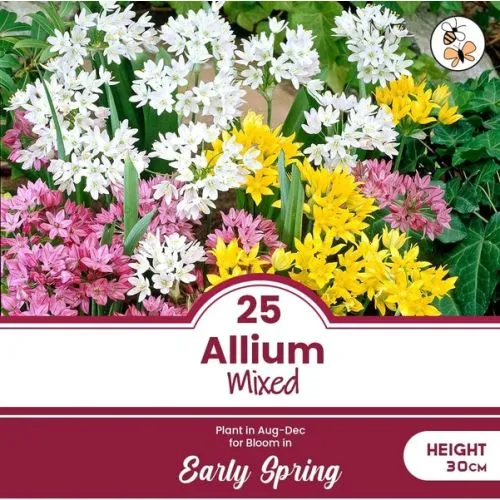 Lukovica Ukrasni luk - Allium Mix 25/1