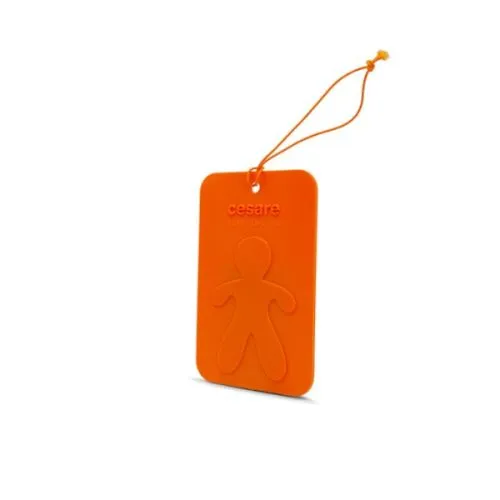 Mirisna kartica orange energy