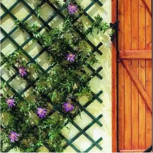 Rešetka za puzavice zelena P. produživa 1 x 3 m