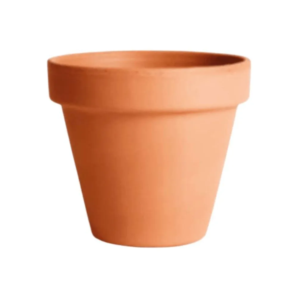 Saksija 29cm Classica terracotta degrea