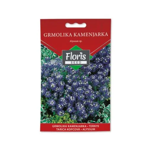 Seme cveće-grmolika kamenjarka 05g FL