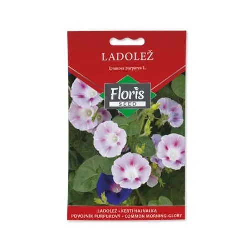 Seme cveće-ladolež 02g FL