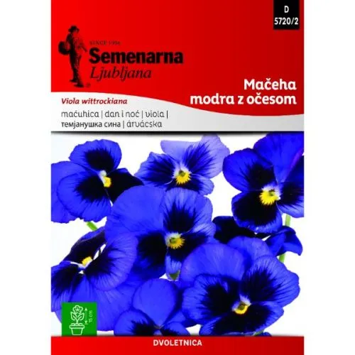 Seme dan i noć plavi sa okom Semenarna