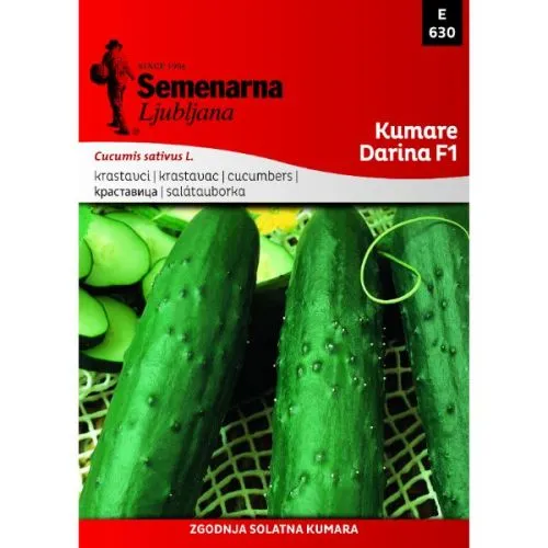 Seme krastavac Darina f1 Semenarna