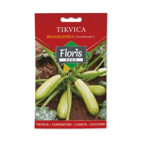 Seme povrće-tikvica beogradska 2g FL