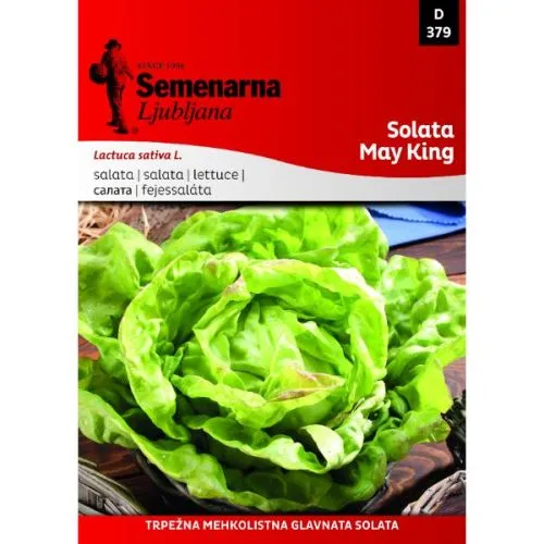 Seme salata majska kraljica Semenarna