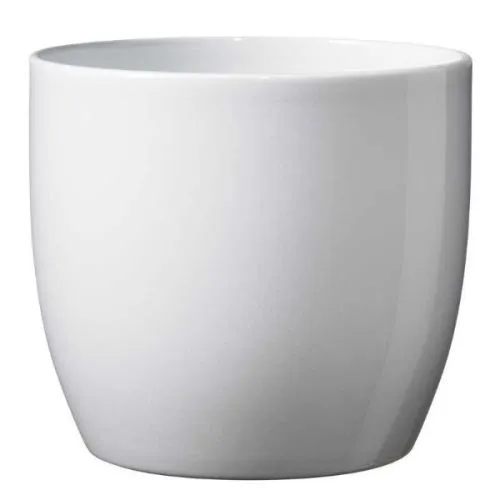 SK SAKSIJA BASEL 12cm BELA