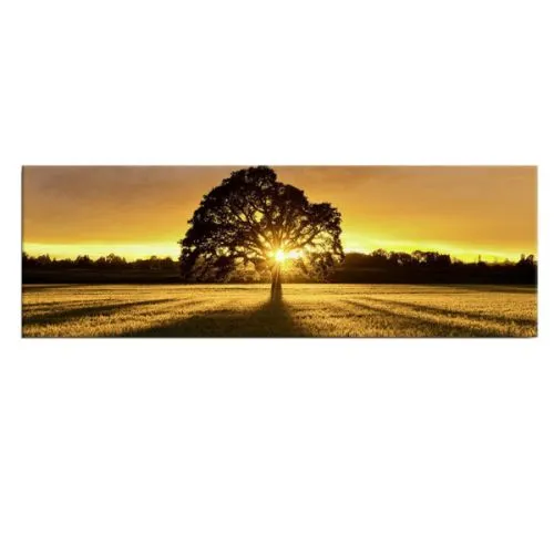 Slika priroda sa LED osvetljenjem 30x90 cm