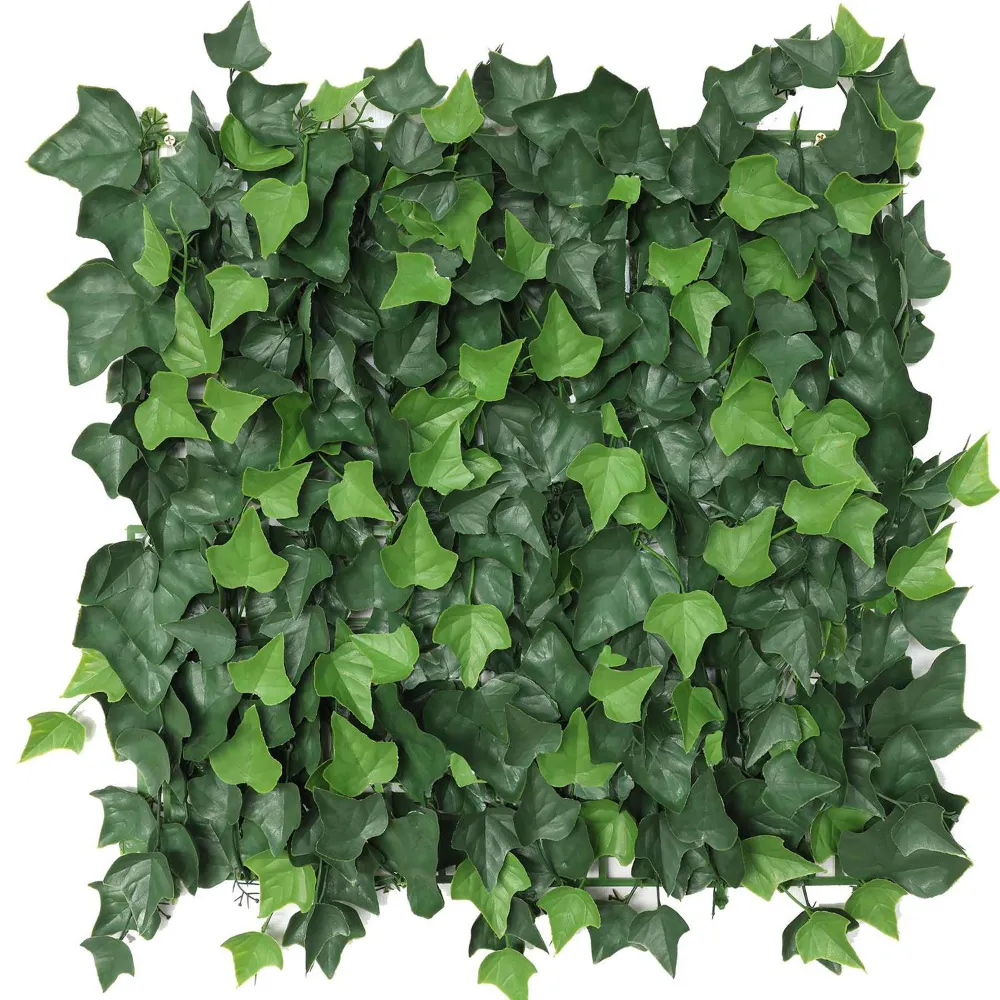 Zeleni zid brsljen UV 50x50cm