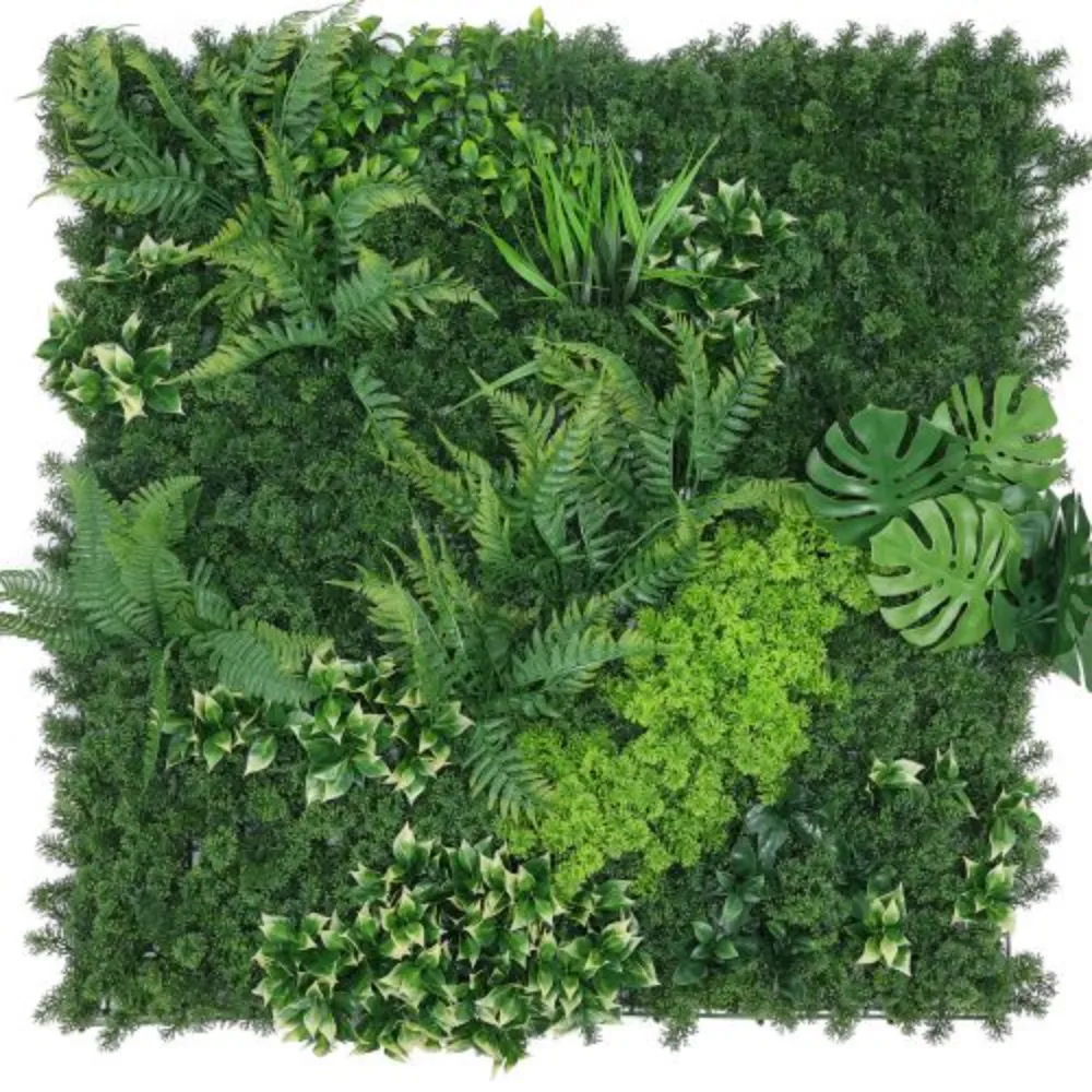 Zeleni zid monstera-paprat mix 100x100cm