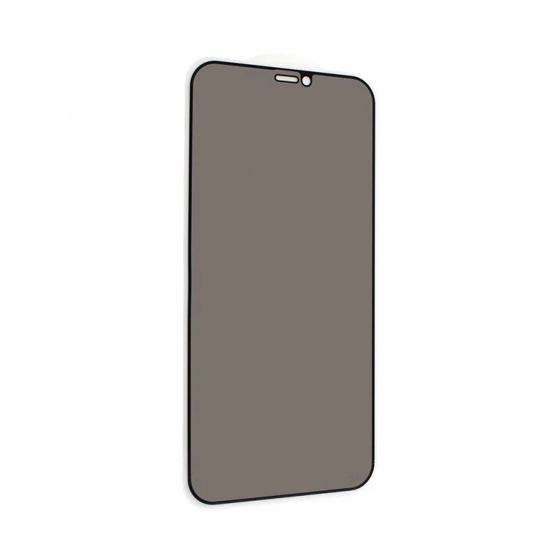 3G Privacy 2.5D Full Glue zaštitno staklo za telefon iPhone 12/12 Pro 6.1