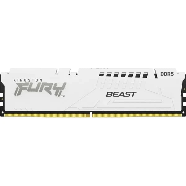 Kingston DDR5 16GB 5600MHz FURY Beast XMP (KF556C40BW-16) memorija za desktop