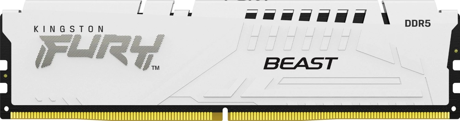 Kingston DDR5 32GB 5200MHz FURY Beast XMP (KF552C40BW-32) memorija za desktop