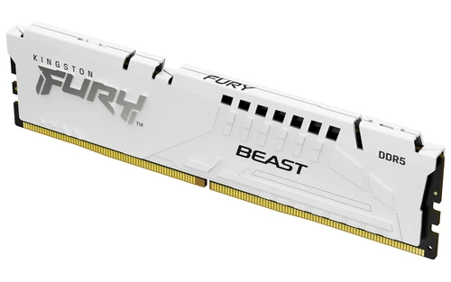 Kingston Technology DDR5 16GB 6000MT/s FURY Beast White EXPO (KF560C36BWE2-16) memorija za desktop