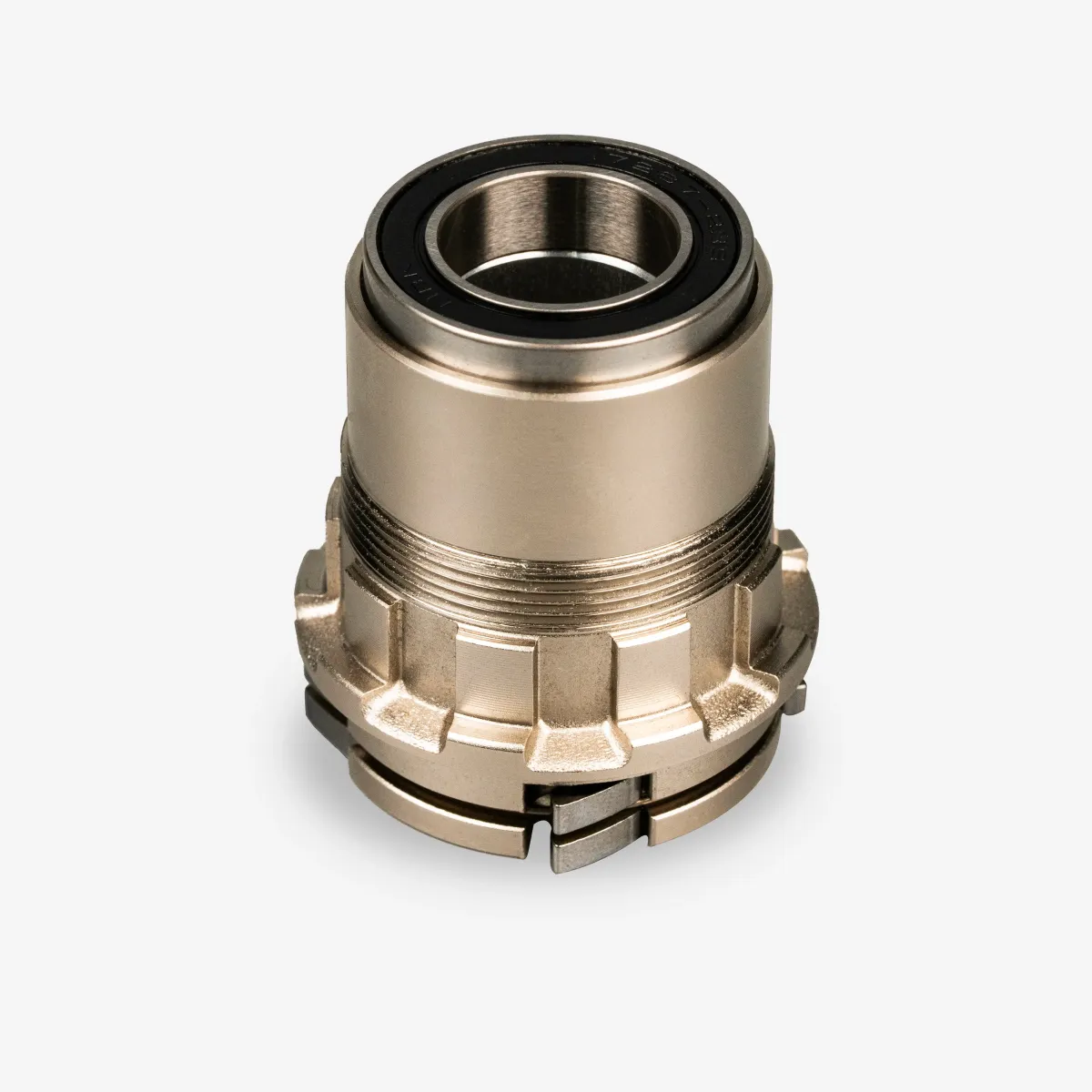 D100 - zmajac XDR