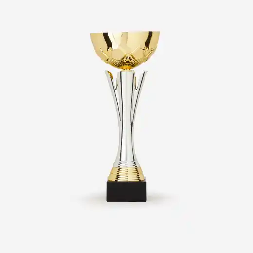 Zlatno-srebrni pehar C535 32 cm