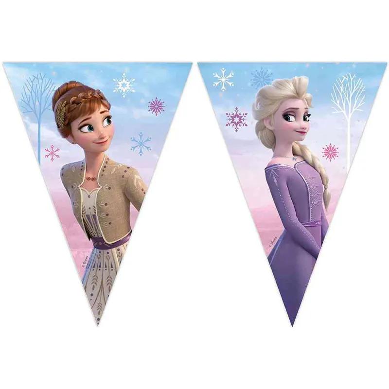 FROZEN 2 WIND SPIRIT PARTY ZASTAVICE 1/1