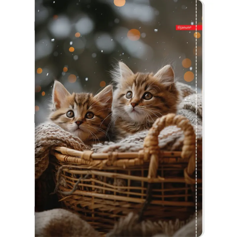 ILIJANUM SVESKA A5 KARO 52L PETS