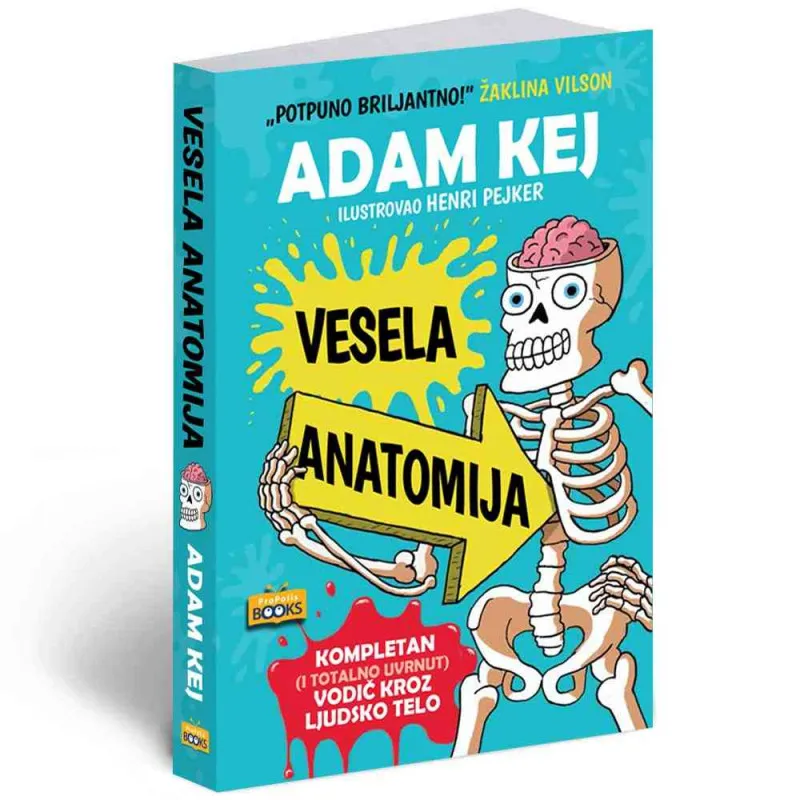KEJ, ADAM -VESELA ANATOMIJA