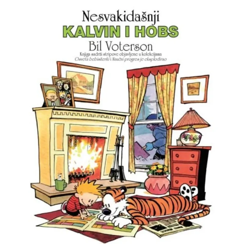 NESVAKIDASNJI KALVIN I HOBS