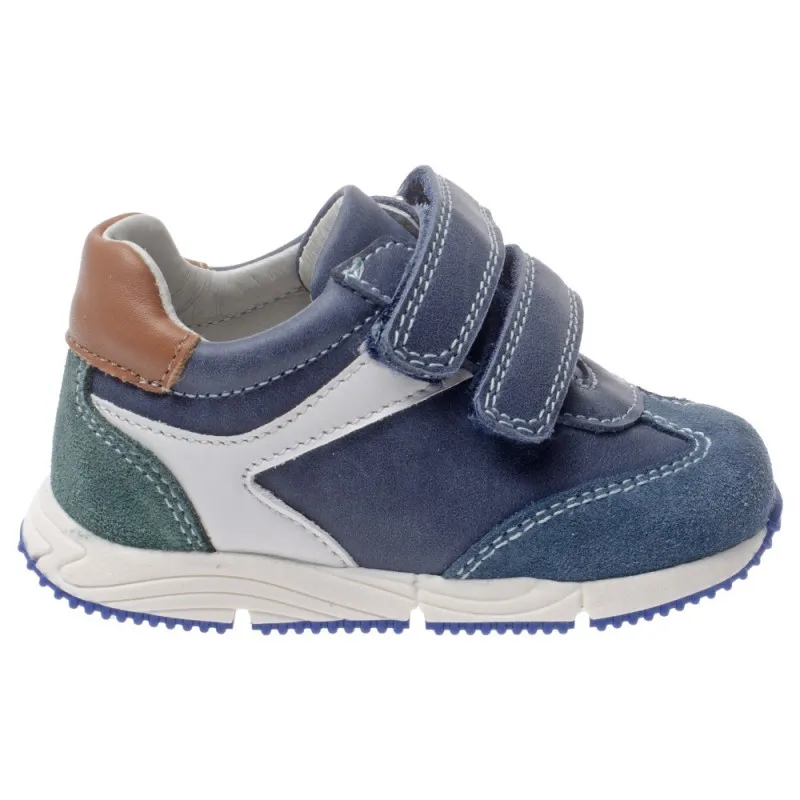 POLLINO CIPELE BLUE