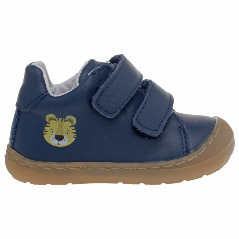 POLLINO CIPELE BLUE