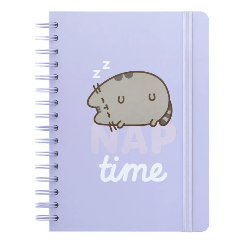 PUSHEEN NOTES SA SPIRALOM MOMENTS