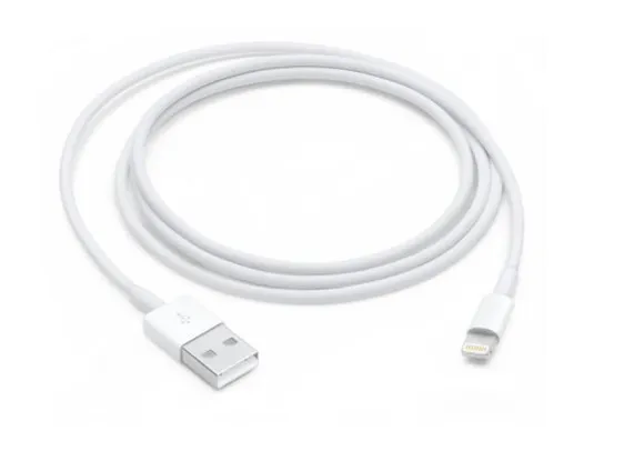 Apple Lightning to USB Cable (1 m)