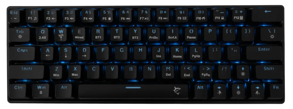 WHITE SHARK GAMING ŽIČNA/BEŽIČNA TASTATURA KAIKEN SR