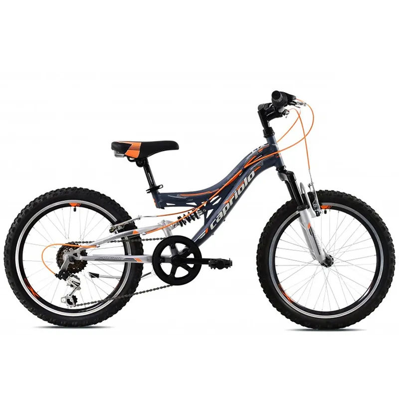 CAPRIOLO "MTB CTX200 20""/6HT SIVO-ORANZ" ZA DEČAKE