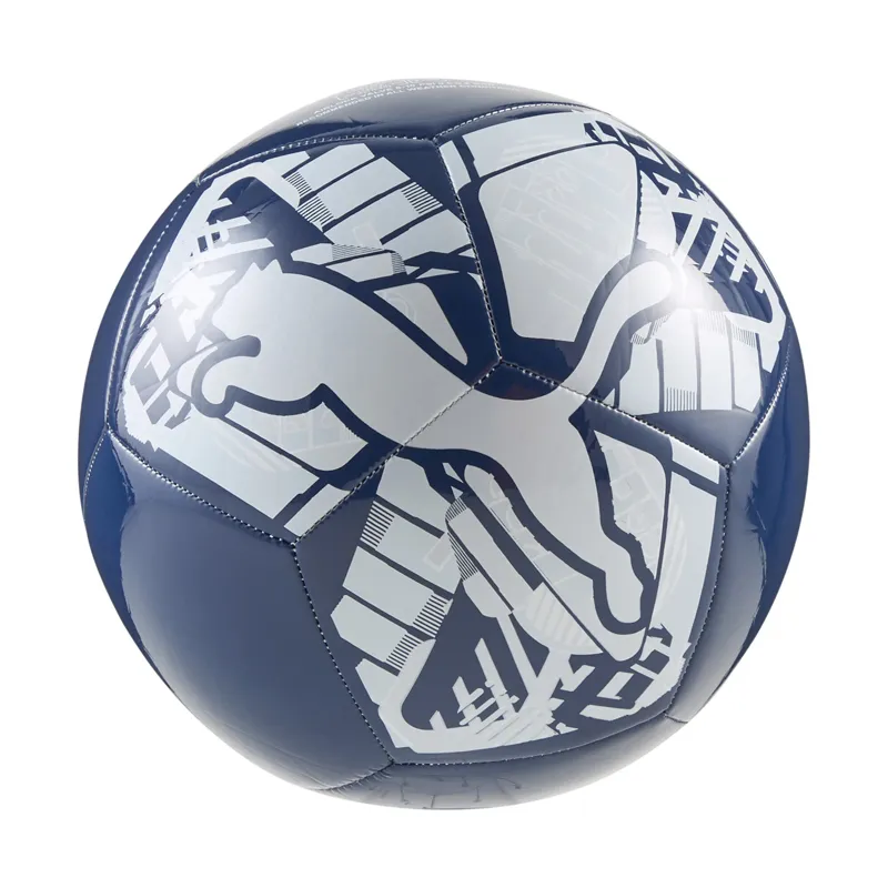 PUMA LOPTA PUMA BIG CAT BALL UNISEX