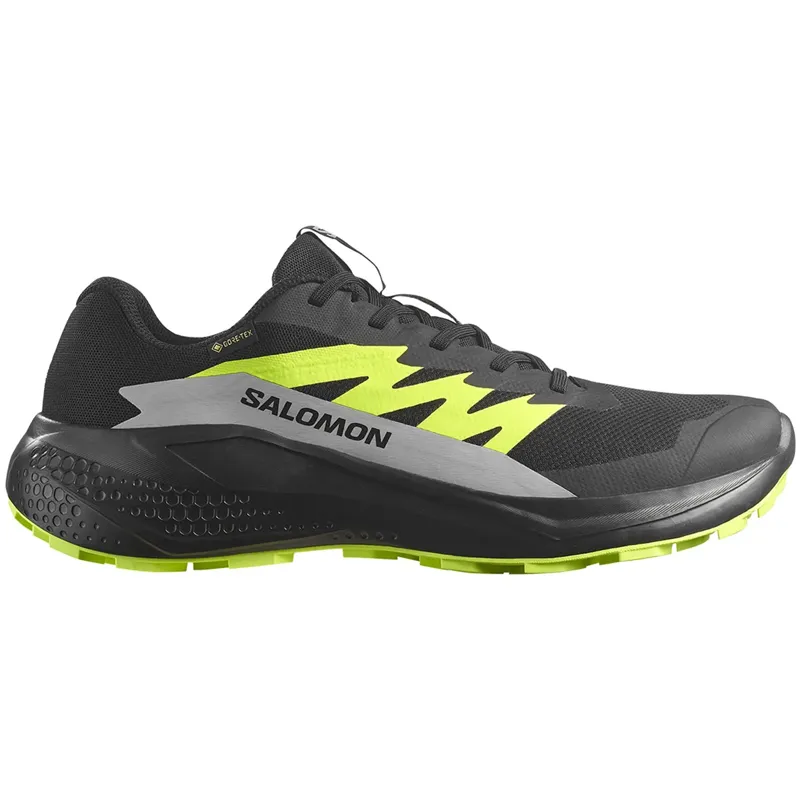 SALOMON PATIKE ALPHAGLIDE GTX ZA MUŠKARCE