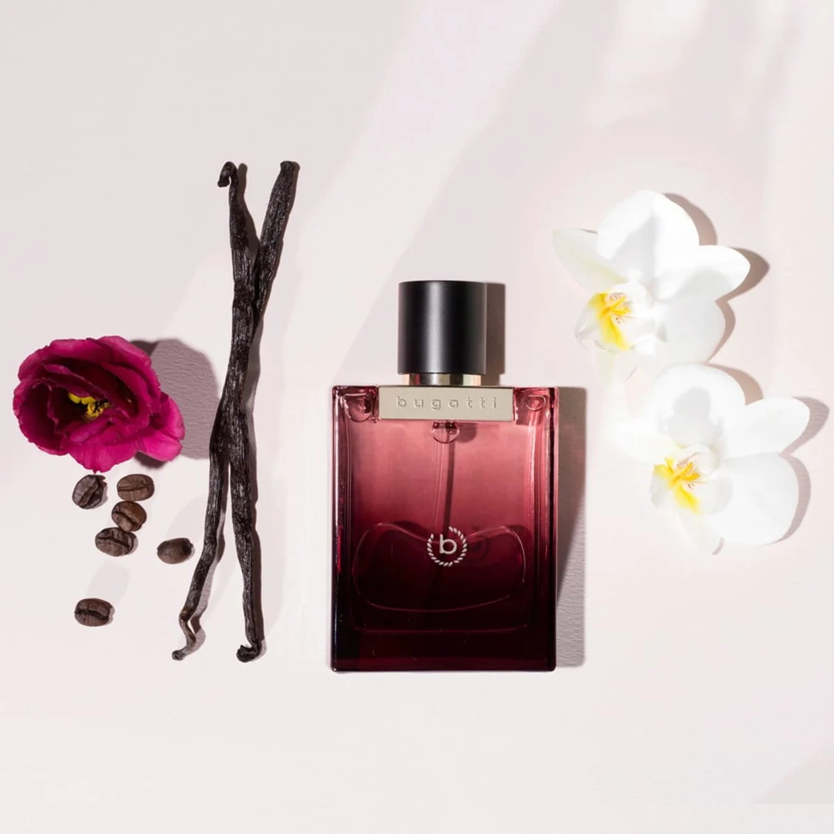 bella donna intensa EdP - ženski, 60 ml
