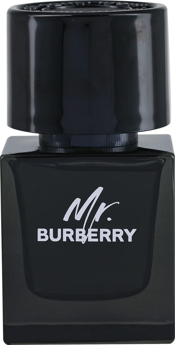 Mr. BURBERRY EdP - muški, 50 ml